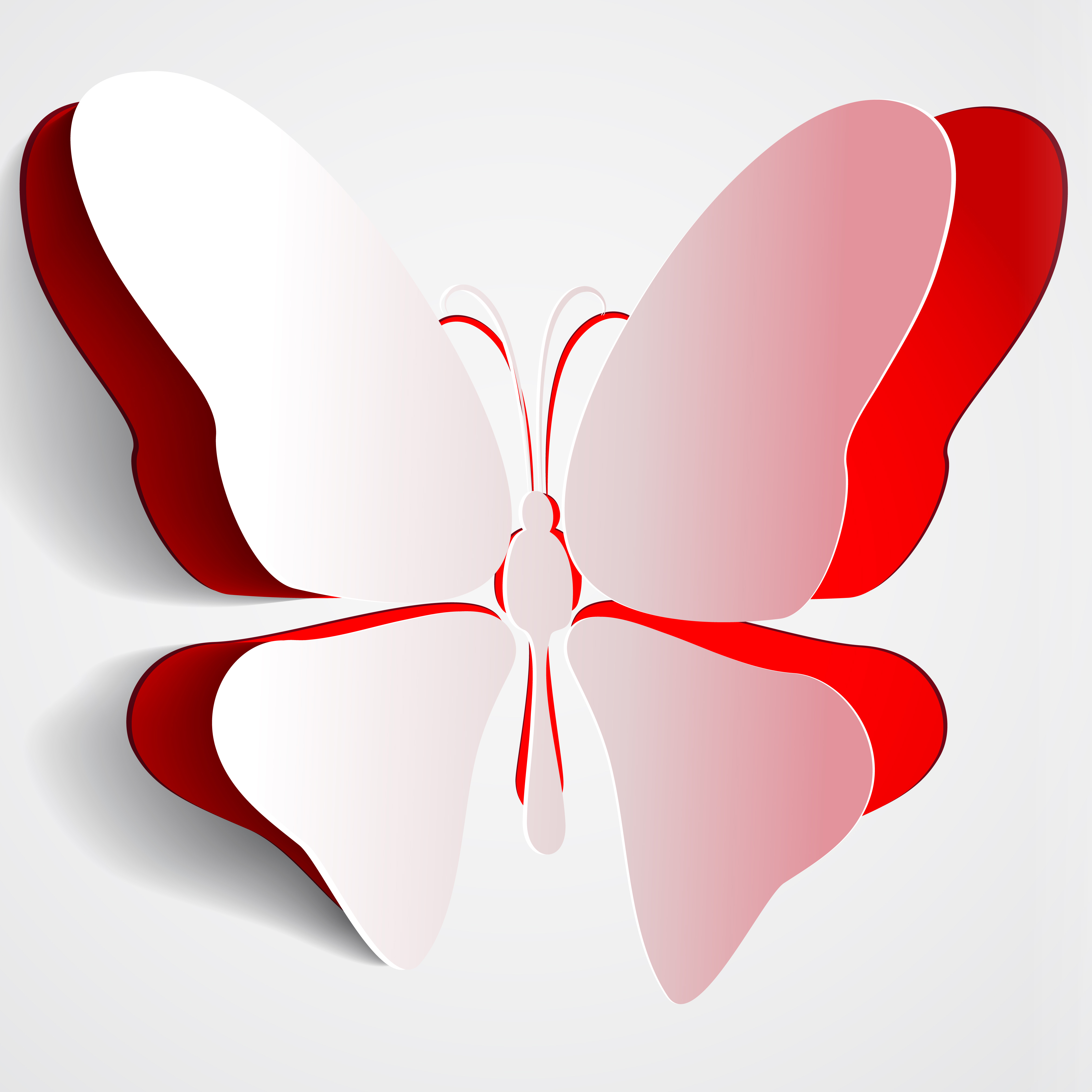 Maggie HTTN Butterfly Logo